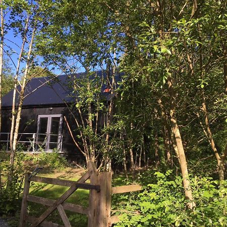 Alder Cabin Kilkenny Exterior foto