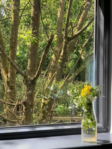 Alder Cabin Kilkenny Exterior foto