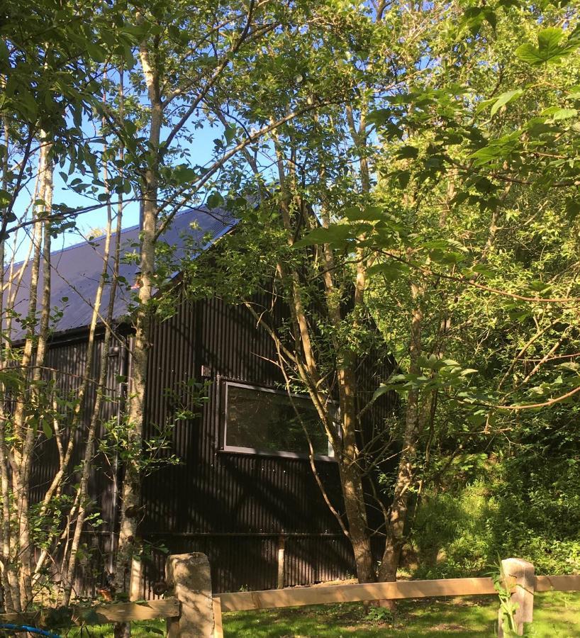 Alder Cabin Kilkenny Exterior foto
